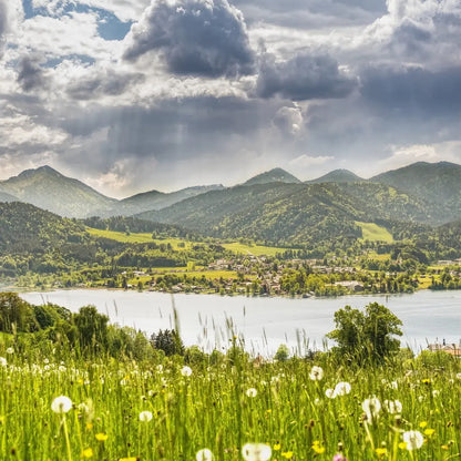 Type Tegernsee Fragrance Melts 50g - Handmade in Bavaria